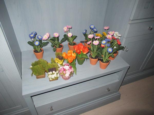 8#2507 Complementi arredo in vendita - foto 55