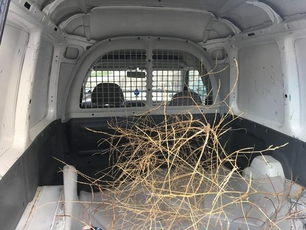 4#2532 Autocarro Seat Inca 1.9 SDI in vendita - foto 9