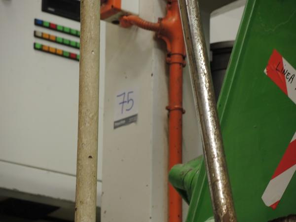 75#2536 Pressa per la produzione di pasta Braibanti in vendita - foto 5