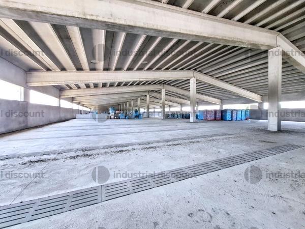2536471#2536471 Complesso aziendale destinato alla macellazione di suini in vendita - foto 7