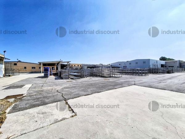 2536471#2536471 Complesso aziendale destinato alla macellazione di suini in vendita - foto 9