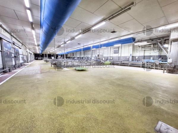 2536471#2536471 Complesso aziendale destinato alla macellazione di suini in vendita - foto 27
