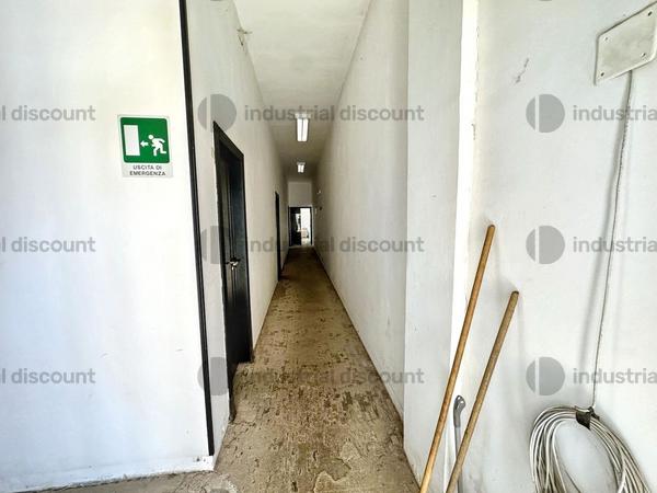 2537158#2537158 Complesso aziendale destinato alla produzione e stoccaggio con celle frigorifere in vendita - foto 15