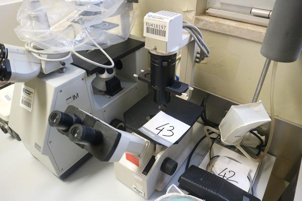 43#2541 Microscopio Nikon TMS in vendita - foto 2