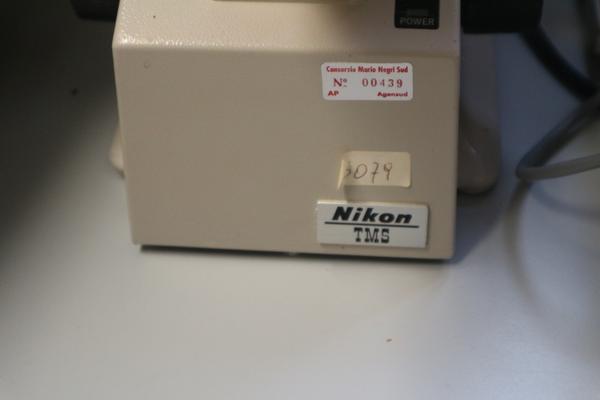 43#2541 Microscopio Nikon TMS in vendita - foto 4
