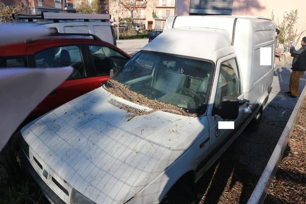 Autocarri in vendita
