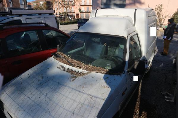 10#2561 Autocarro Fiat Fiorino Lupo in vendita - foto 2