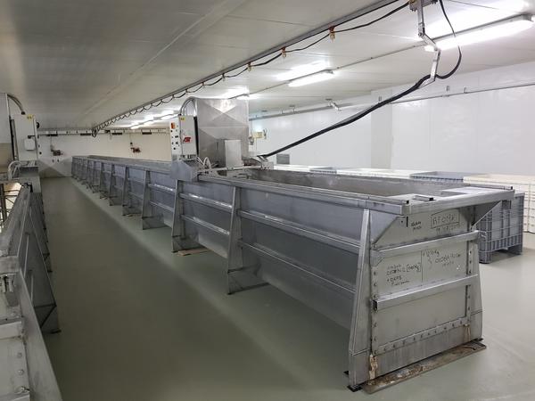 1#2595 Linee di lavorazione ricotta in vendita - foto 1