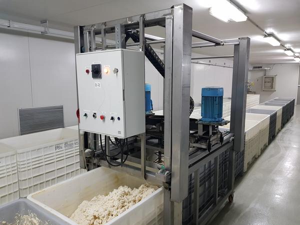1#2595 Linee di lavorazione ricotta in vendita - foto 14