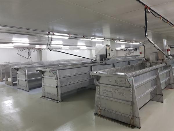 1#2595 Linee di lavorazione ricotta in vendita - foto 15