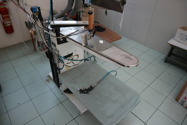 1#2610 Azienda dedita alla produzione e commercio di abbigliamento in vendita - foto 16