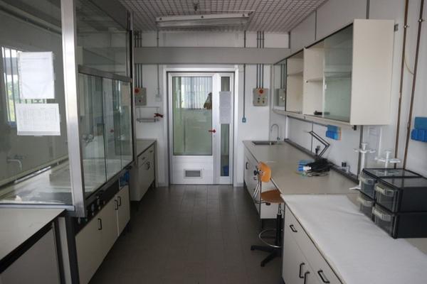 10#2713 Banchi da lavoro e arredi laboratorio in vendita - foto 1