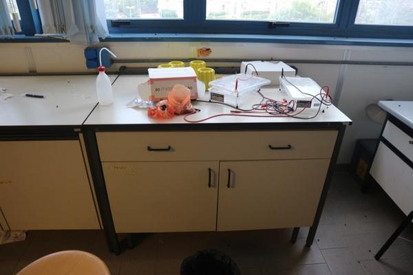 31#2715 Arredi laboratorio in vendita - foto 5