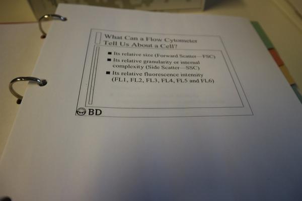 33#2715 Arredi laboratorio in vendita - foto 16