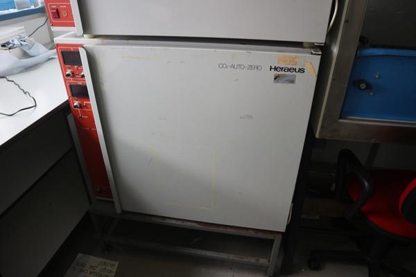 10#2717 Attrezzature e arredi laboratorio in vendita - foto 8