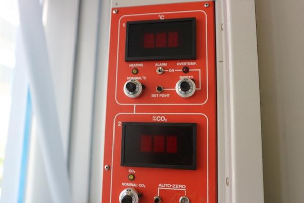 10#2717 Attrezzature e arredi laboratorio in vendita - foto 12