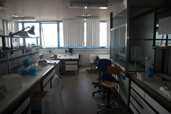 34#2717 Banchi da lavoro e arredi laboratorio in vendita - foto 1