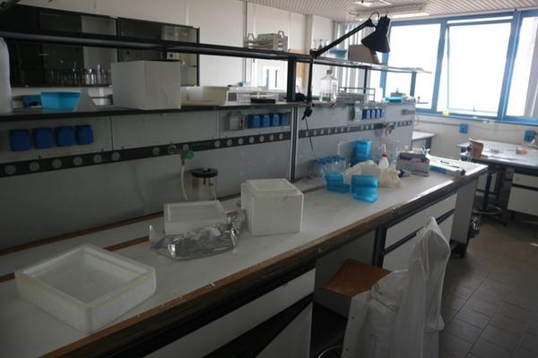 34#2717 Banchi da lavoro e arredi laboratorio in vendita - foto 3