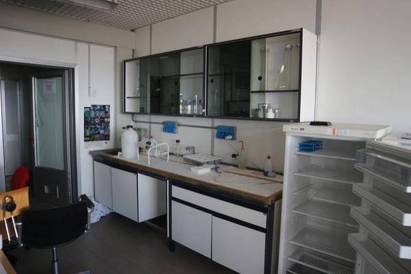 34#2717 Banchi da lavoro e arredi laboratorio in vendita - foto 7