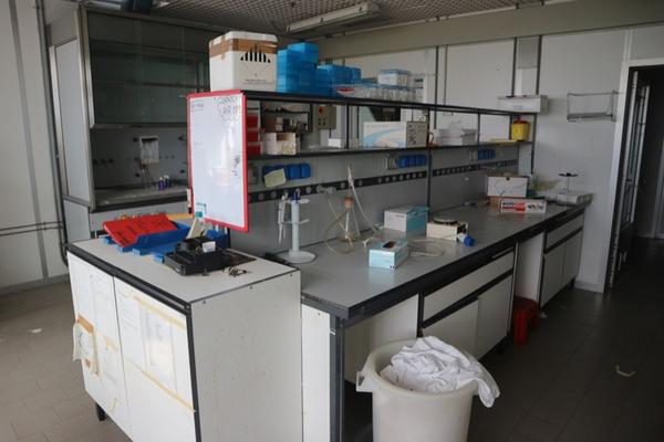 52#2718 Arredi e attrezzatura da laboratorio in vendita - foto 1