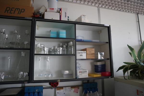 52#2718 Arredi e attrezzatura da laboratorio in vendita - foto 6