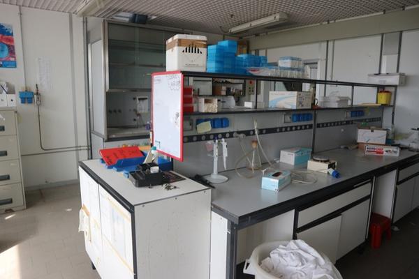 52#2718 Arredi e attrezzatura da laboratorio in vendita - foto 12