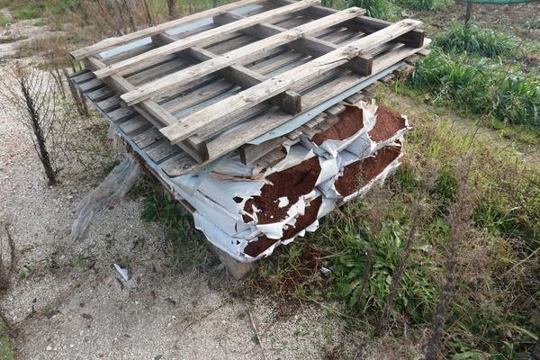 9#2737 Erba sintetica in vendita - foto 18