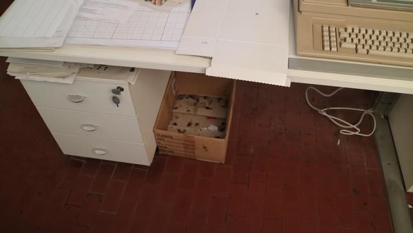 1#2749 Arredi e macchine da ufficio in vendita - foto 4