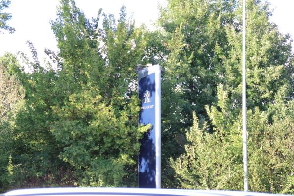 3#2913 Insegne Peugeot in vendita - foto 4