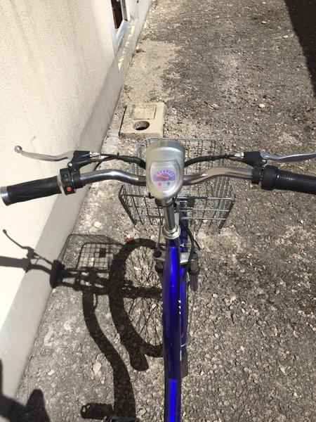 29#2916 Biciclette elettriche in vendita - foto 4
