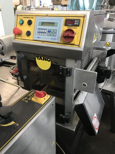 40#2920 Termosaldatrice Yang Px1 in vendita - foto 10