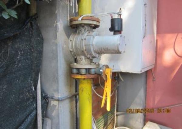 1#2925 Forno rotor Pavailler e impastatrice a spirale Biva in vendita - foto 33