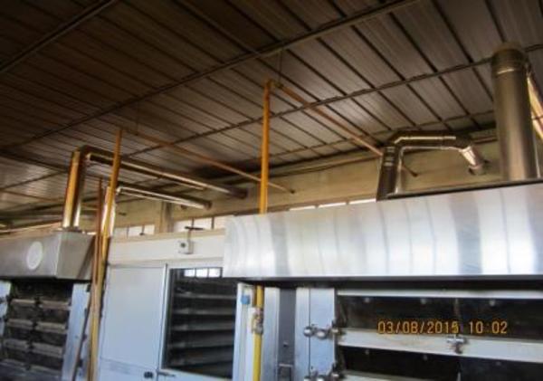 1#2925 Forno rotor Pavailler e impastatrice a spirale Biva in vendita - foto 35