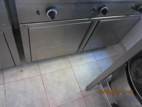 1#2925 Forno rotor Pavailler e impastatrice a spirale Biva in vendita - foto 70