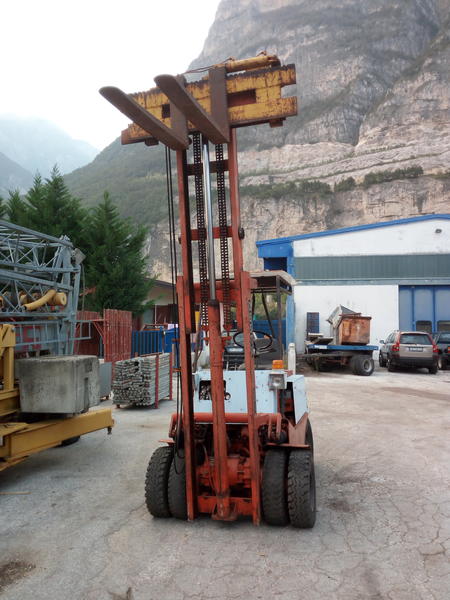 13#2949 Muletto Desta in vendita - foto 6