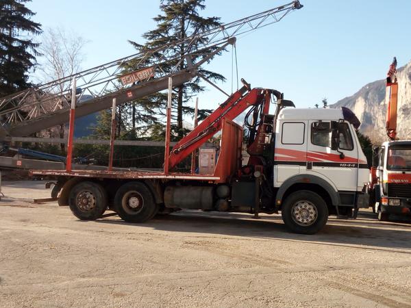 45#2949 Autocarro Mercedes 1844 con stanti e gru per legname in vendita - foto 10