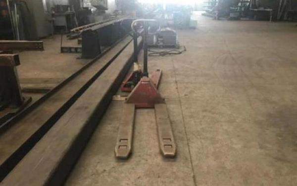 22#2960 Transpallet in vendita - foto 2