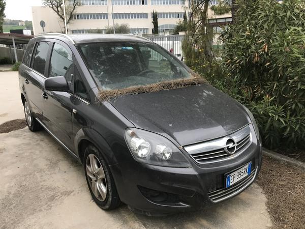 Automobili in vendita