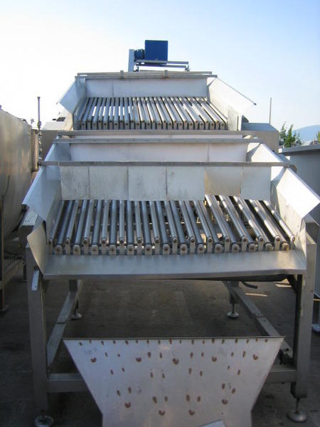 13#2996 Calibratore per pomorodi Tecnomeccanica in vendita - foto 1