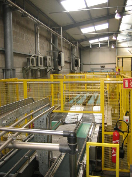 43#2996 Pallettizzatore per fardelli Acmi in vendita - foto 7