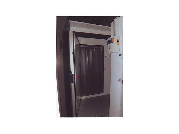 1#2999 Celle frigorifere per prodotti ittici freschi e surgelati in vendita - foto 5
