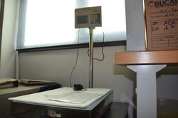 Digital electronic scales - Lote 4 (Subasta 3051)