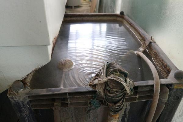 2#3062 Centro di lavoro per vetro Biesse Master 45 in vendita - foto 25