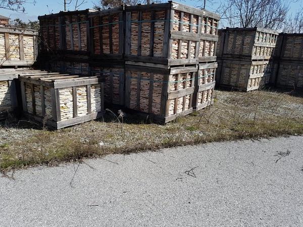 2#3069 Lastre in basalto e bluestone in vendita - foto 10