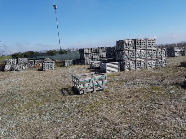 2#3069 Lastre in basalto e bluestone in vendita - foto 14