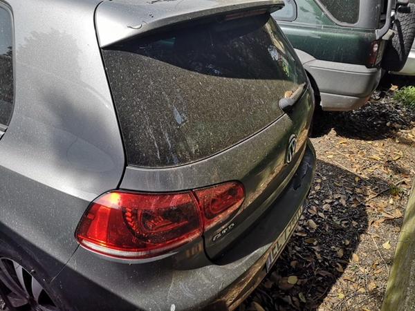 102#3074 Volkswagen Golf in vendita - foto 3