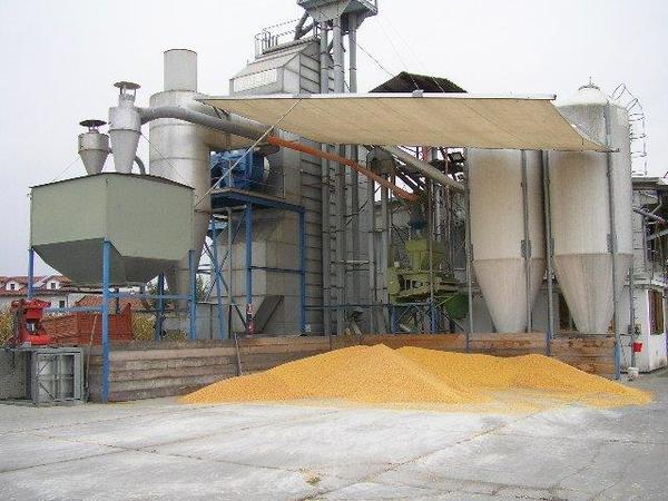 1#3092 Essiccatoio cereali a colonna con controllo elettronico Scolari Sg 2500 in vendita - foto 2