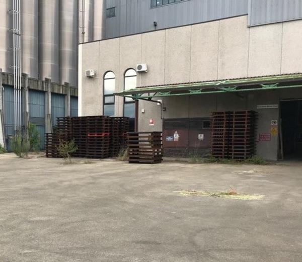 5#3154 Pallet in metallo in vendita - foto 3