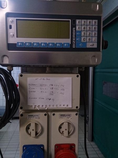 6#3161 Pesa a pavimento Bizerba in vendita - foto 6