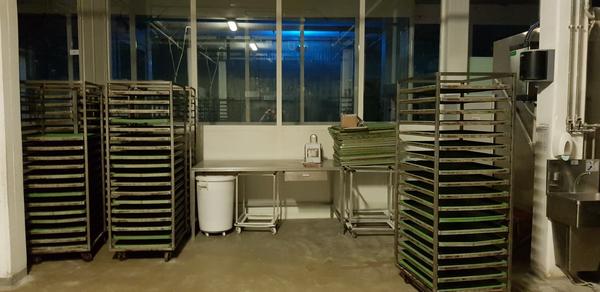 1#3172 Macchinari per la produzione gastronomica e panificazione in vendita - foto 36